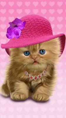 Baby Cat android App screenshot 1