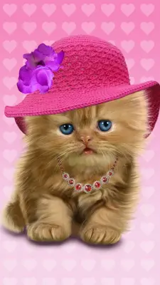 Baby Cat android App screenshot 2