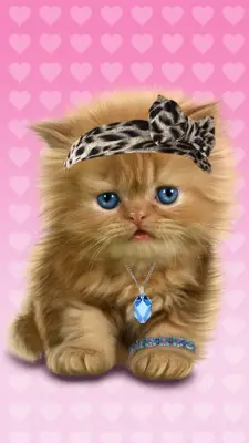 Baby Cat android App screenshot 5