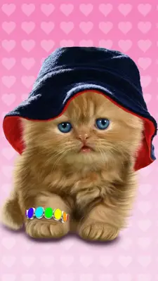 Baby Cat android App screenshot 7