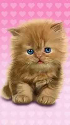 Baby Cat android App screenshot 8